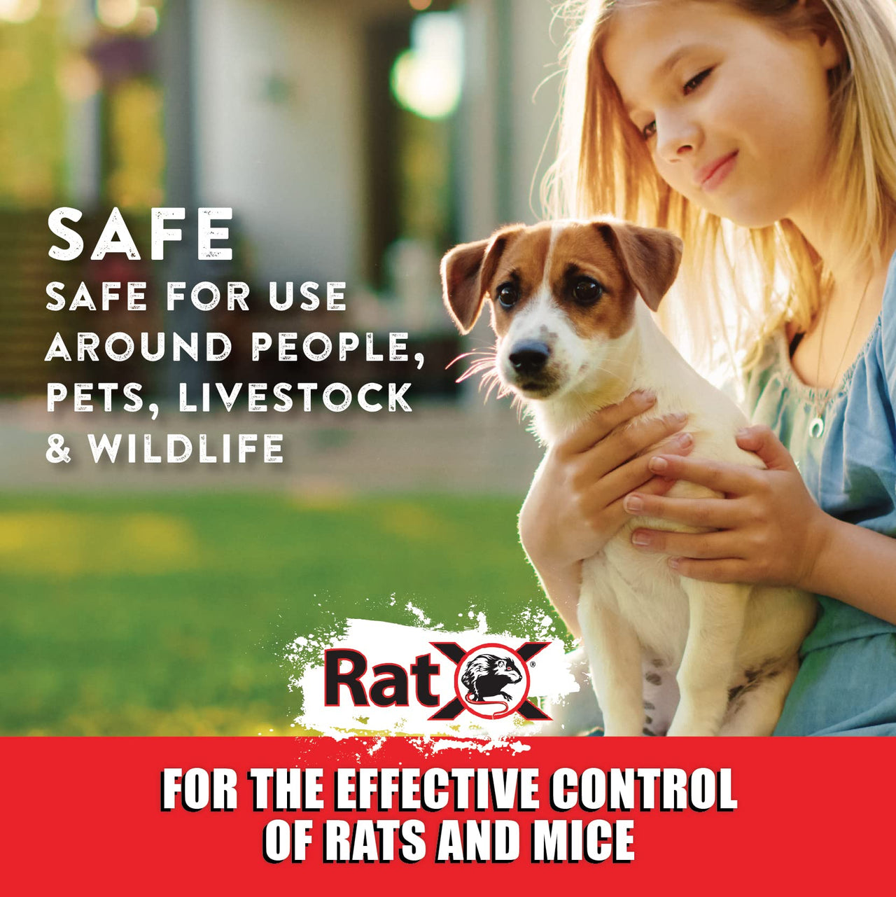 RatX Throw Packs- for All Species of Rats and Mice Safe Around Pets