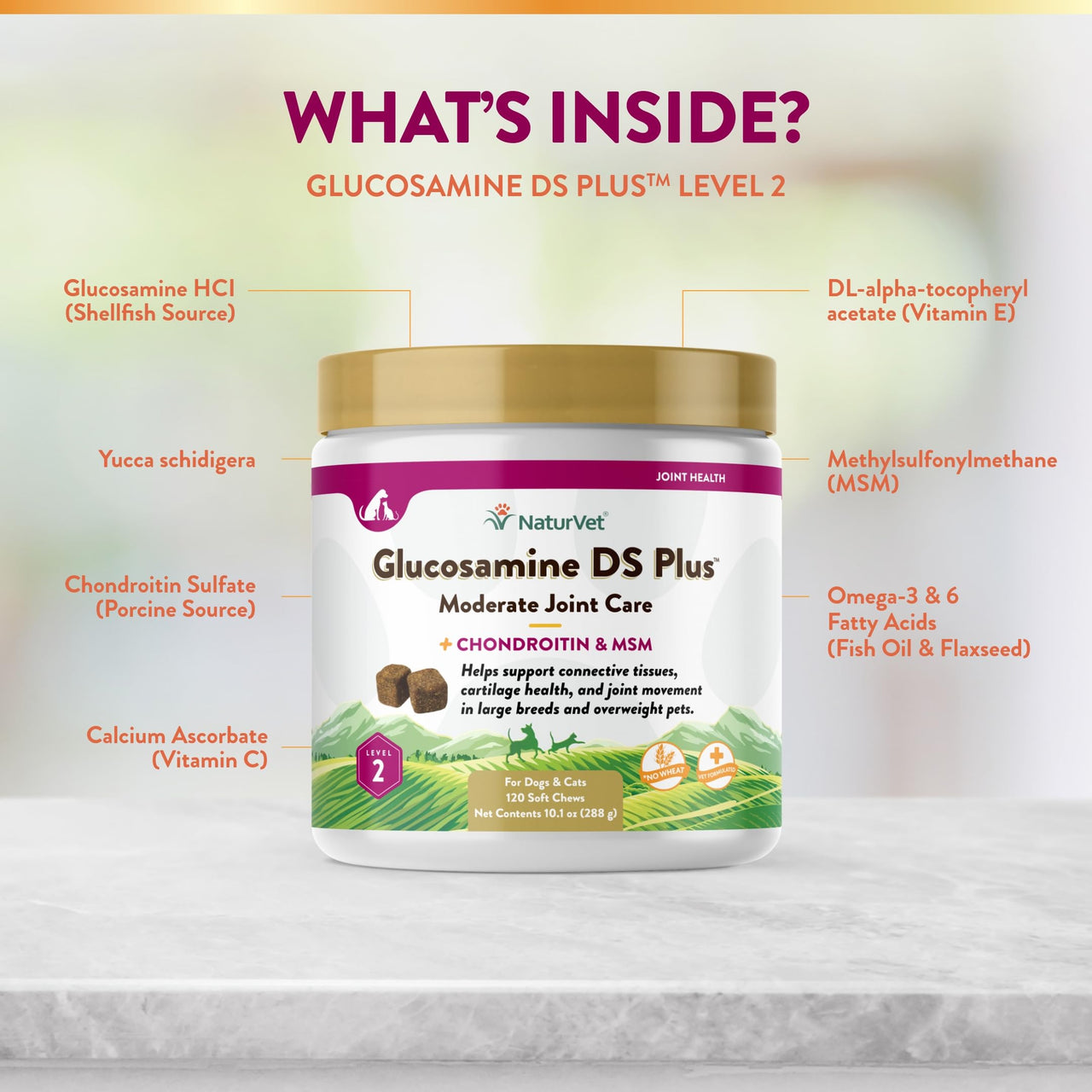 NaturVet – Glucosamine DS Plus - Level 2 Moderate Care – Supports Healthy Hip & Joint Function – Enhanced with Glucosamine, MSM & Chondroitin – for Dogs & Cats–120 Soft Chews