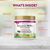 Thumbnail for NaturVet – Glucosamine DS Plus - Level 2 Moderate Care – Supports Healthy Hip & Joint Function – Enhanced with Glucosamine, MSM & Chondroitin – for Dogs & Cats–120 Soft Chews