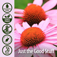 Thumbnail for ature's Answer Echinacea Extract | Supports a Healthy Immune System | Vegan, Gluten-Free, Alcohol-Free, Non-GMO & Kosher Certified | 1oz