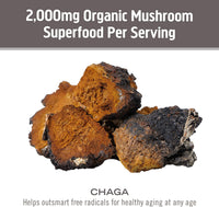 Thumbnail for Om Mushroom Superfood Chaga Mushroom Capsules Supplement, Sacred Antioxidants & Immune Support, 90 Count, 30 Days