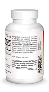 Thumbnail for Planetary Herbals Ashwagandha Full Spectrum by Planetary Ayurvedics 570mg, Rejuvenating Tonifier, 120 Tablets