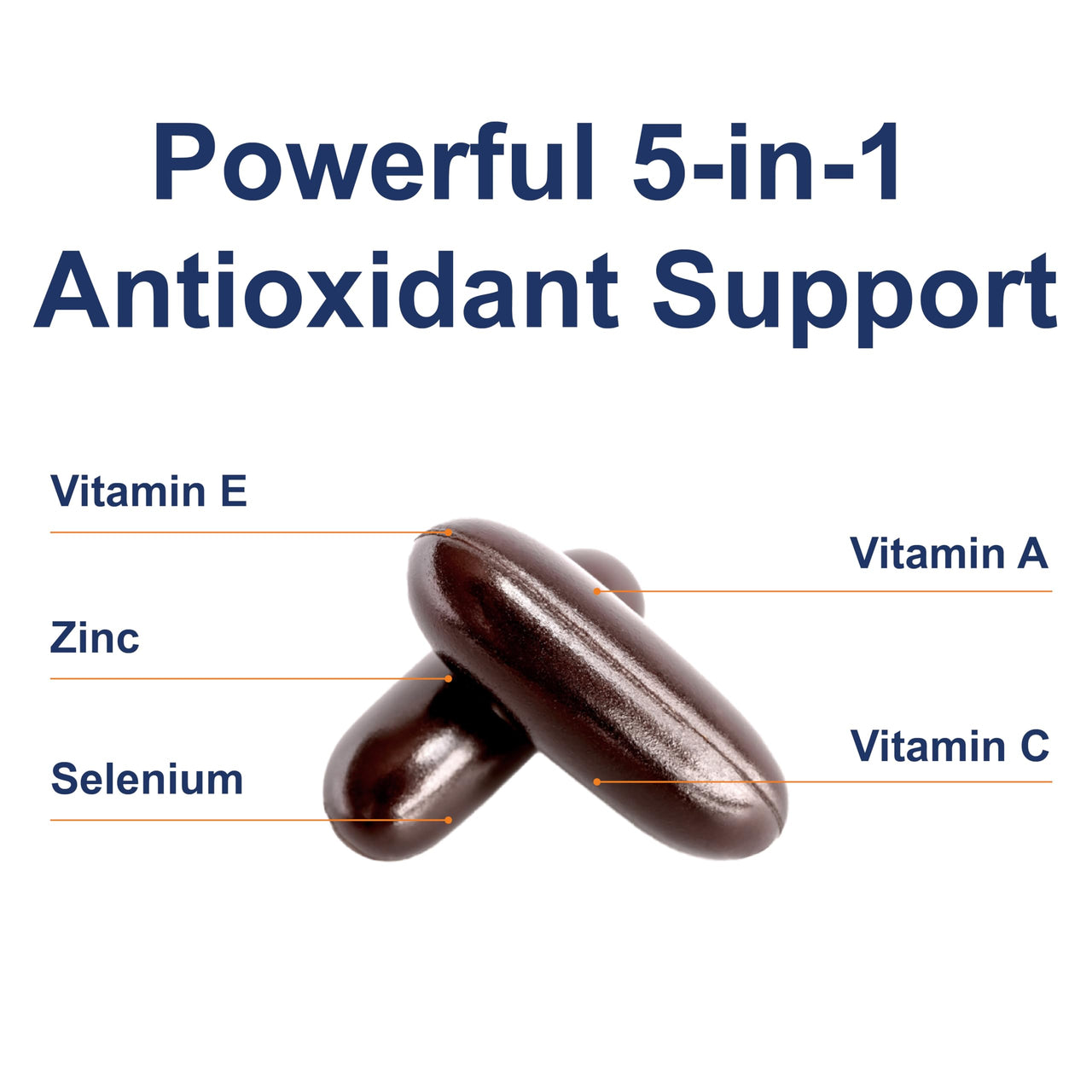 Carlson - ACES + Zn, Vitamins A, C, E + Selenium & Zinc, Multivitamin with Zinc, Cellular Health & Immune Support, Selenium Multivitamin, Antioxidant, 360 Softgels