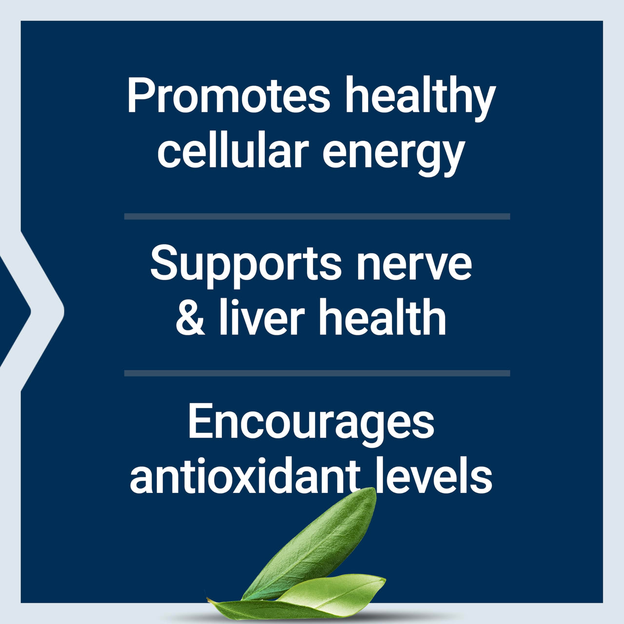 Life Extension Alpha-Lipoic Acid with Biotin, for Cell Protection, Universal antioxidant for Liver & Nerve Health, Gluten-Free, Non-GMO, 60 Capsules