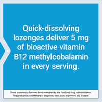Thumbnail for Life Extension Vitamin B12 Methylcobalamin, Nerve Health Supplement, Cognitive Support, Energy Vitamin, methylcobalamin B12, 5 mg, Quick-Dissolving, Gluten-Free, Non-GMO, Vegetarian, 60 lozenges