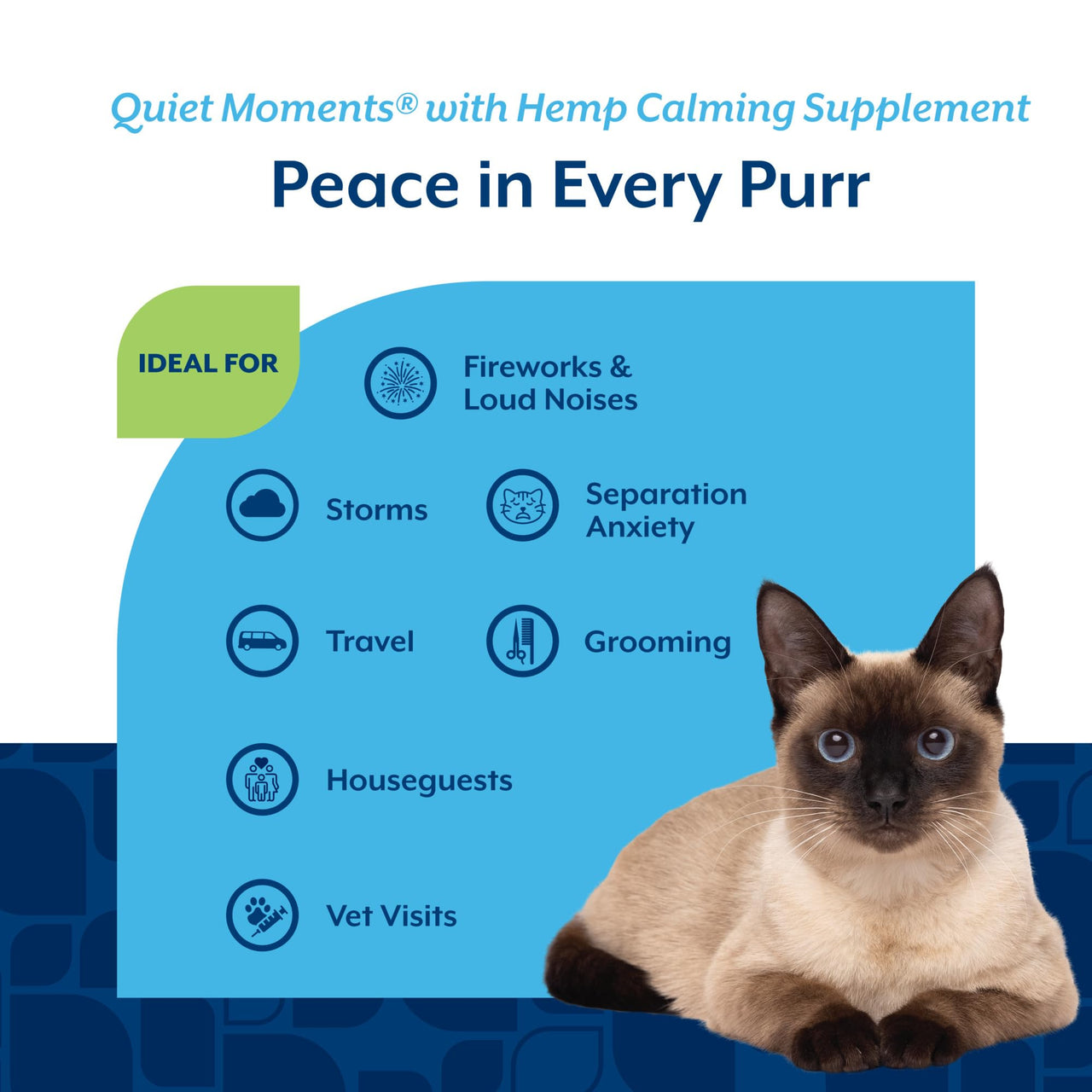 NaturVet Hemp Quiet Moments Plus Hemp Seed for Cats, 60 ct Soft Chews, Made in USA