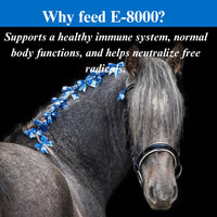 Thumbnail for SU-PER E 8000 Horse Antioxidant Supplement - Concentrated Vitamin E Supplement for Performance Horses - 4 Pounds