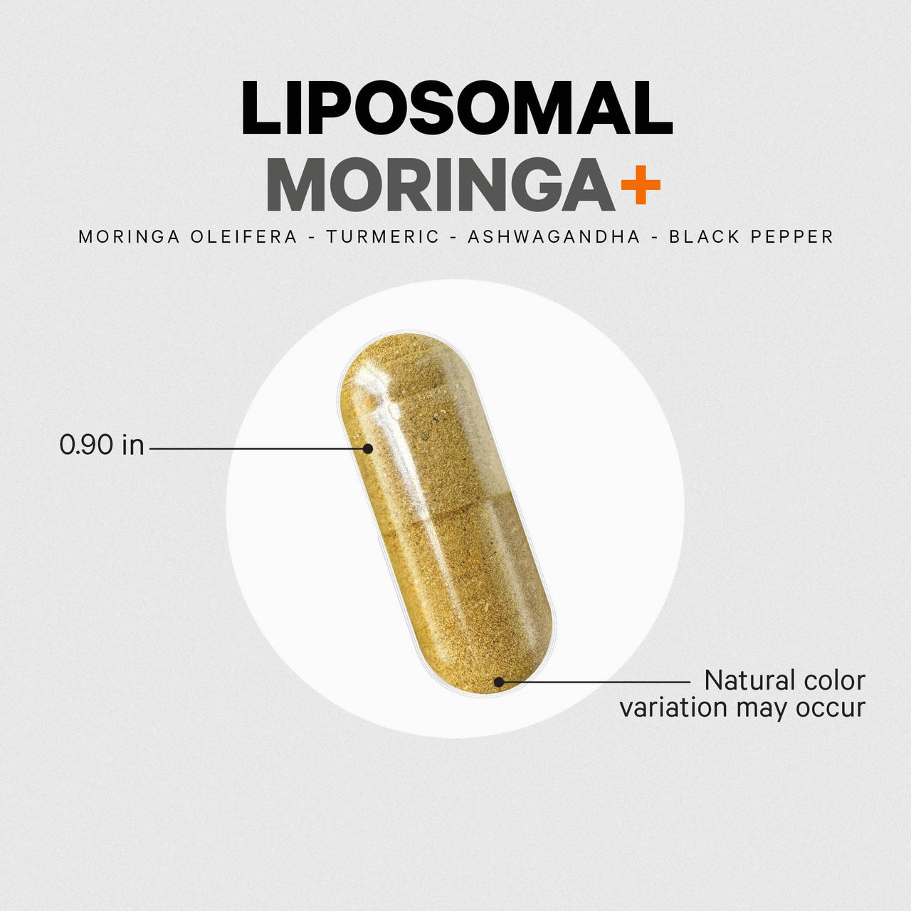 Codeage Liposomal Moringa+ Supplement, 400mg Moringa 50:1 Extract - Turmeric, Ashwagandha, Black Pepper, 3-Month Supply, Vegan Moringa Powder - 180 Capsules