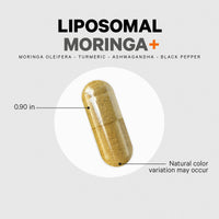 Thumbnail for Codeage Liposomal Moringa+ Supplement, 400mg Moringa 50:1 Extract - Turmeric, Ashwagandha, Black Pepper, 3-Month Supply, Vegan Moringa Powder - 180 Capsules