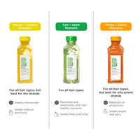 Thumbnail for Briogeo Superfoods Mango + Cherry Balancing Shampoo for Oily Hair | Gentle Cleanse & Oil Control | Vegan & Cruelty-Free | 12.5 fl oz