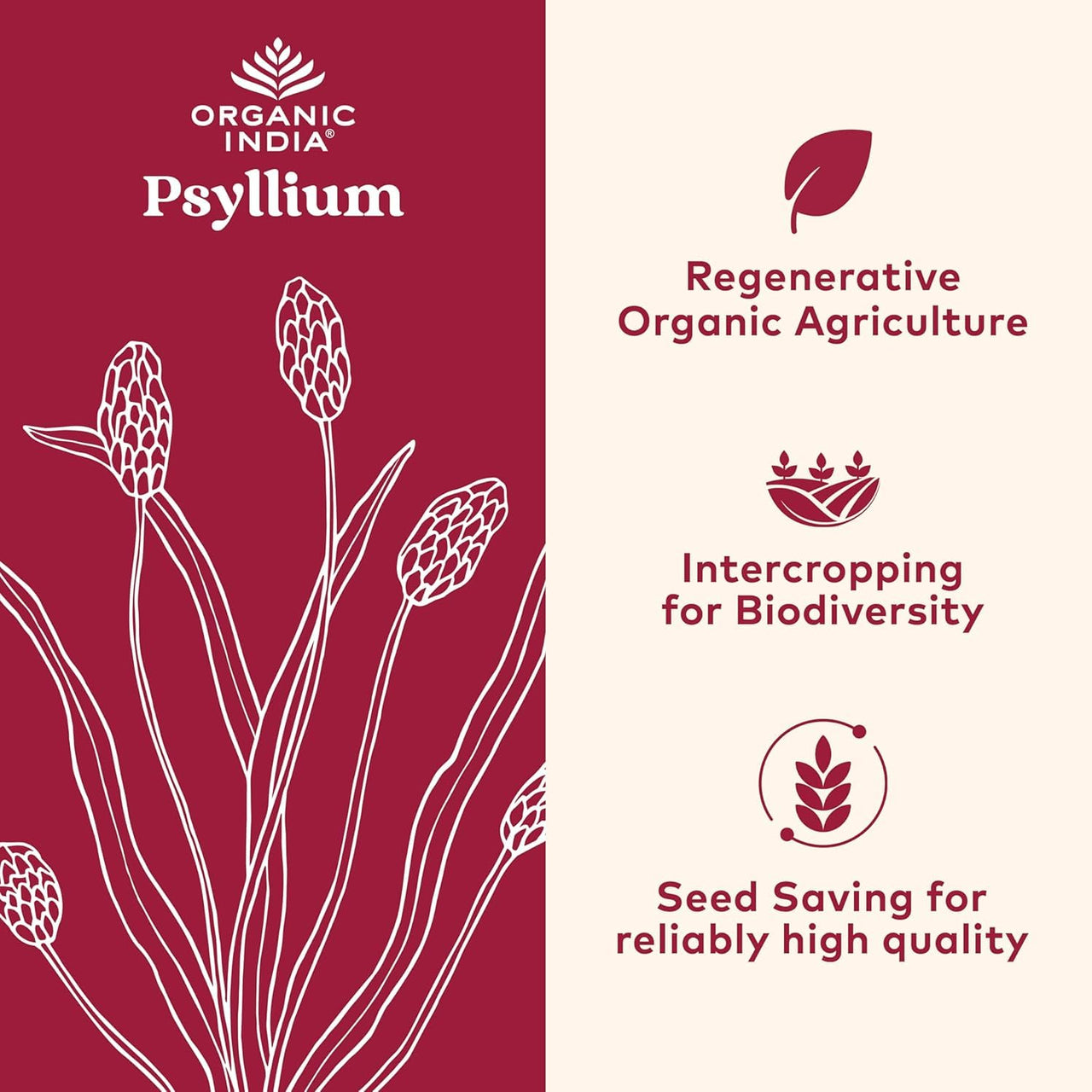 ORGANIC INDIA Psyllium Herbal Powder - Whole Husk Fiber, Vegan, Gluten-Free, USDA Certified Organic, Non-GMO, Soluble & Insoluble Fiber Source - 12 Oz Canister (Pack of 1)