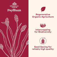 Thumbnail for ORGANIC INDIA Psyllium Herbal Powder - Whole Husk Fiber, Vegan, Gluten-Free, USDA Certified Organic, Non-GMO, Soluble & Insoluble Fiber Source - 12 Oz Canister (Pack of 1)