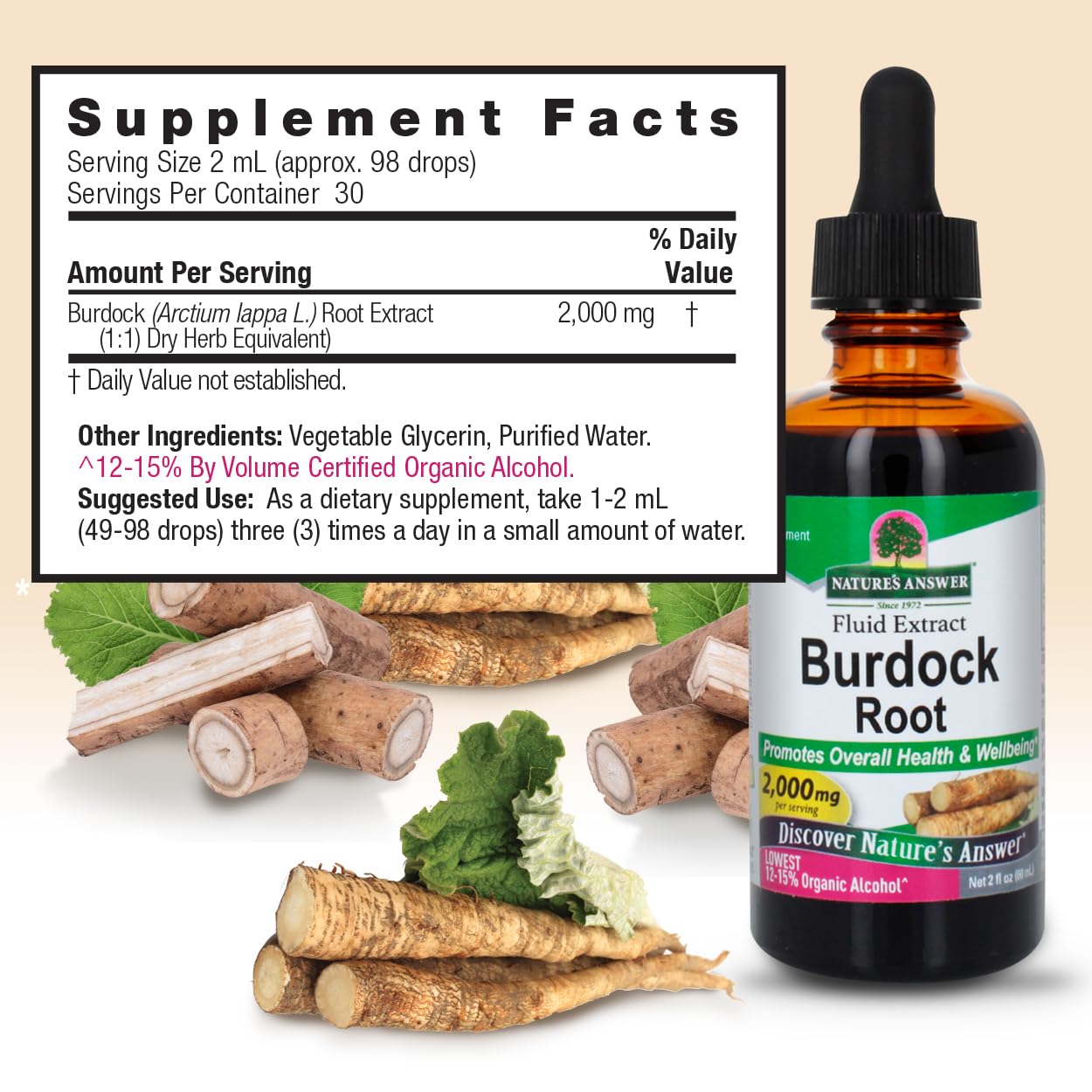 Nature's Answer Burdock Root | Herbal Supplement | Super Concentrated | Promotes Overall Health & Well-being | Low Alcohol & Gluten-Free 2oz