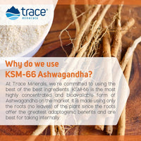 Thumbnail for Trace Minerals Ashwagandha - Ashwagandha Gummies for Supporting A Healthy Mindset - Calming Supplement - Better Sleep - Immune System & Energy Support - Passion Fruit Orange - 60 Count (30 Servings)