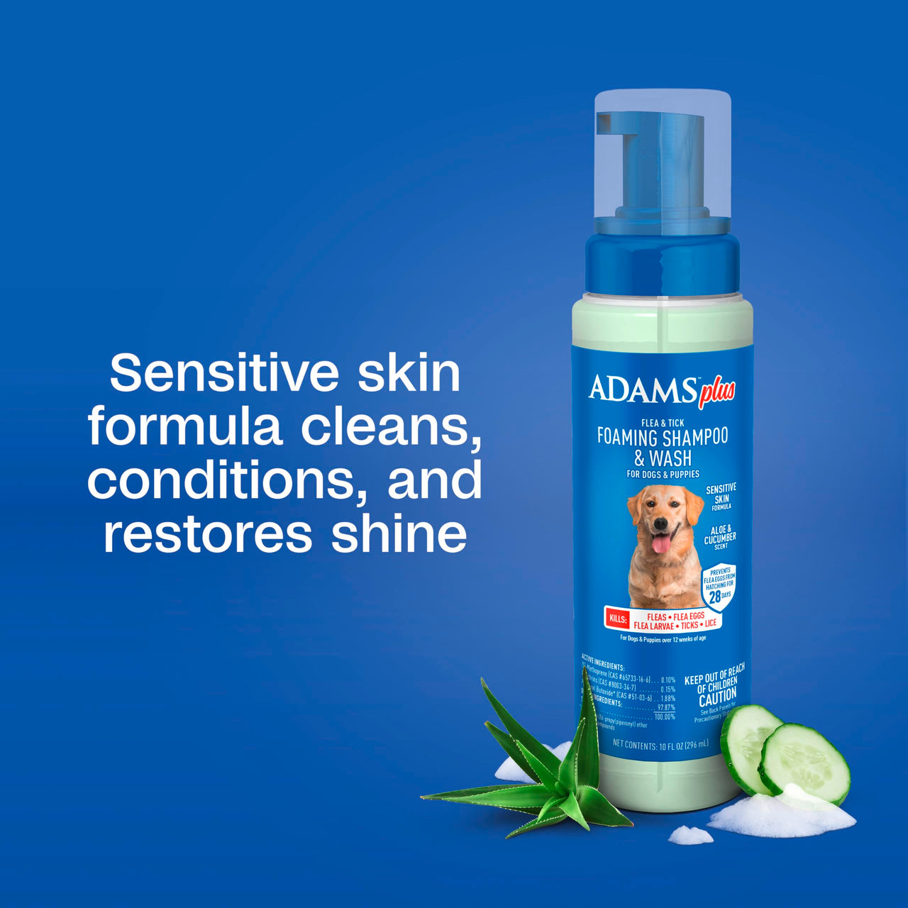 ADAMS Plus Flea & Tick Foaming Shampoo & Wash for Dogs & Puppies, Flea Shampoo to Treat Flea Infestations, Kills Ticks, Fleas, Flea Eggs & Lice, Cleans and Conditions Coat, 10 Ounces