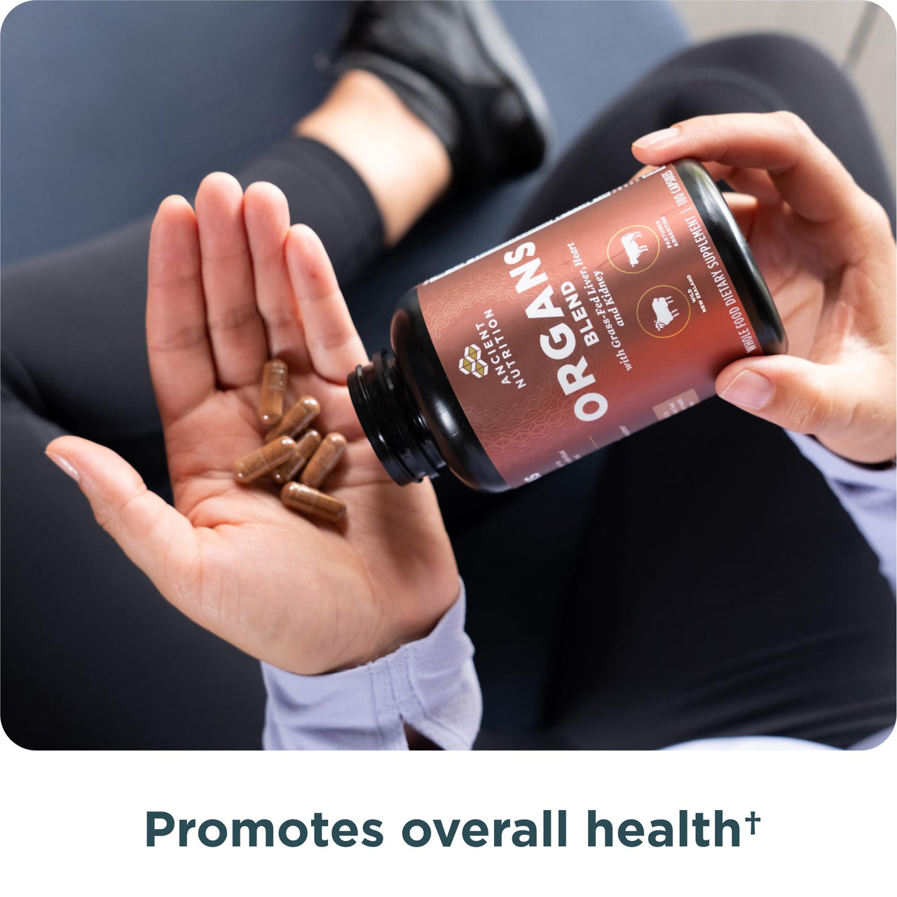 Ancient Nutrition Organ Supplements, Grass-Fed and Wild Organ Complex Capsules, Liver, Heart, Kidney Supports Organ, Cognitive, and Immune System Health, 180 Ct