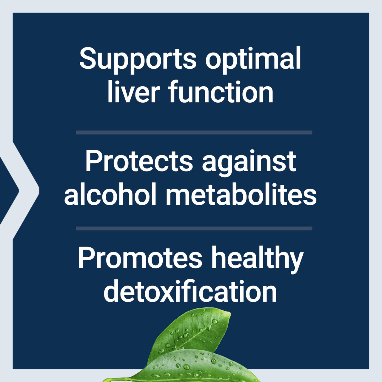 Life Extension Anti-Alcohol Complex, Vitamin C, zinc, Grape Seed, Milk Thistle, Clove Extract, Supports Healthy Alcohol Metabolism & Optimal Liver Function, Gluten-Free, Non-GMO, 60 Capsules