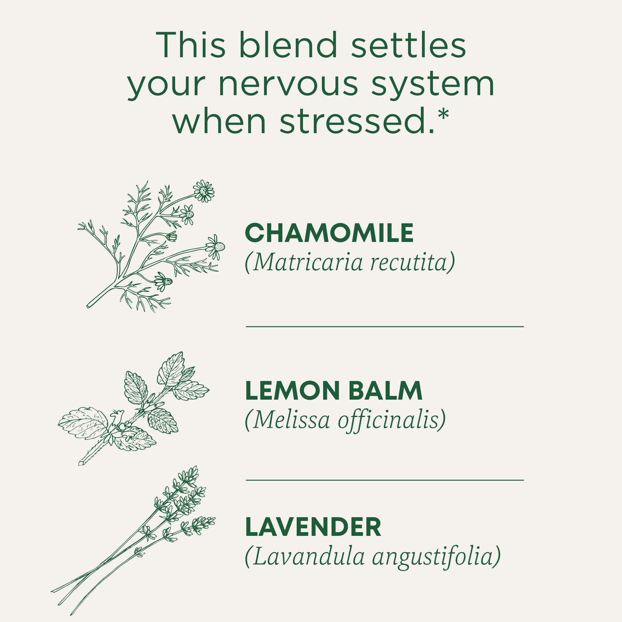 Traditional Medicinals Organic, Chamomile & Lavender - Chamomile Tea Supporting Stress Relief and Relaxation - Kosher, Non-GMO, Caffeine-Free, Compostable - 16 Tea Bags