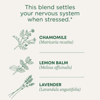 Thumbnail for Traditional Medicinals Organic, Chamomile & Lavender - Chamomile Tea Supporting Stress Relief and Relaxation - Kosher, Non-GMO, Caffeine-Free, Compostable - 16 Tea Bags
