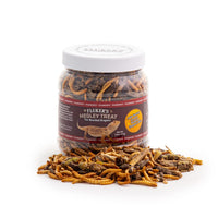 Thumbnail for Fluker's Medley Treat for Bearded Dragons, Grasshoppers, Mealworms and Crickets, 1.8 oz
