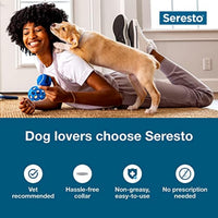Thumbnail for Seresto Small Dog Vet-Recommended Flea & Tick Treatment & Prevention Collar for Dogs Under 18 lbs. | 8 Months Protection