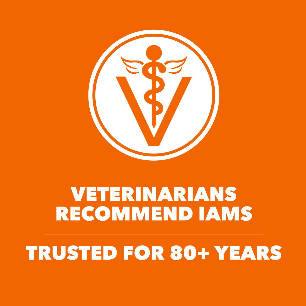 IAMS Proactive Health Dry Cat Food, Healthy Cat Food Dry Recipe for Adults, with Chicken 7 lb. Bag