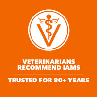 Thumbnail for IAMS Proactive Health Dry Cat Food, Healthy Cat Food Dry Recipe for Adults, with Chicken 7 lb. Bag