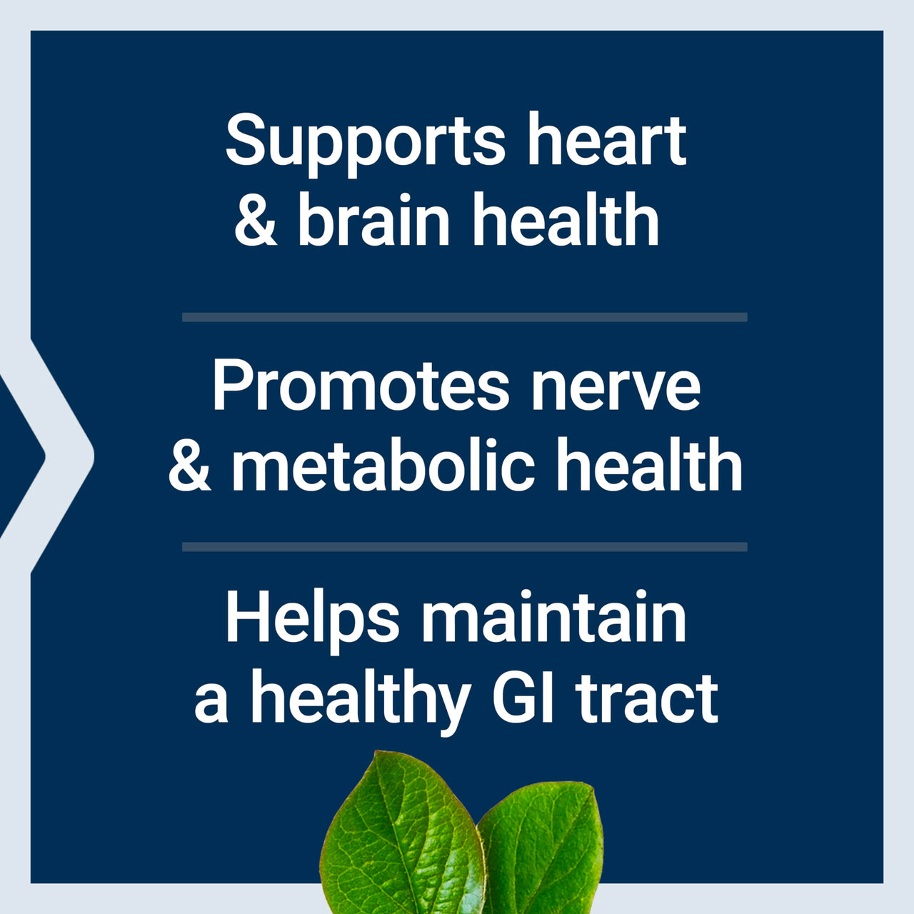 Life Extension BioActive Folate & Vitamin B12, Promotes Heart, Brain & GI Tract Health, Non-GMO, Gluten-Free, Vegetarian, 90 Capsules