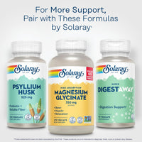 Thumbnail for SOLARAY Psyllium Husk Capsules â€“ 525 mg Prebiotic and Soluble Fiber Supplement for Overall Daily Wellness Support â€“ Vegan, Lab Verified â€“ 100 Servings, 100 VegCaps