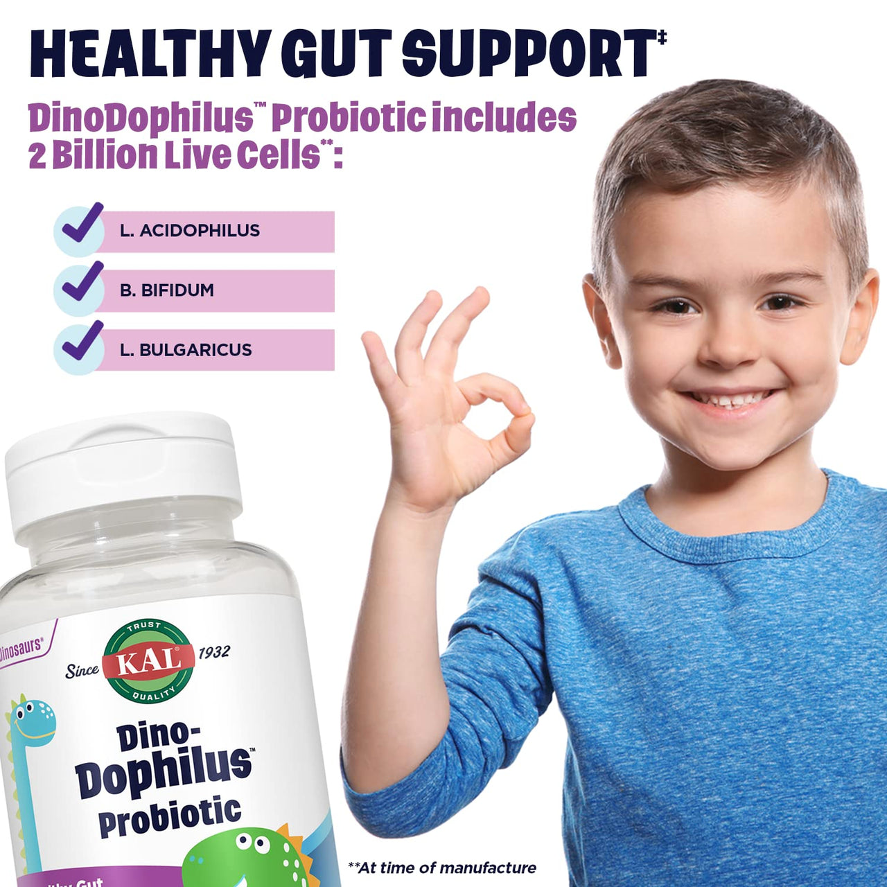 KAL DinoDophilus Probiotics for Kids - Chewable Kids Probiotic with 2 Billion CFU for Children's Gut Health and Digestion Support - Natural Black Cherry Flavor, 60 Chews