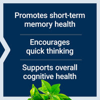 Thumbnail for Life Extension Neuro-Mag Magnesium L-Threonate, Memory Health, Quick Thinking, Cognitive Health Support, Vegetarian, Non-GMO, 90 Vegetarian Capsules (144 mg from 2000 mg Magtein magnesium L-threonate