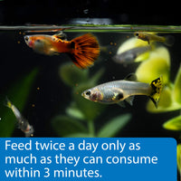 Thumbnail for API TROPICAL MINI PELLETS Mini Sinking Pellets Fish Food 1.7-Ounce Container
