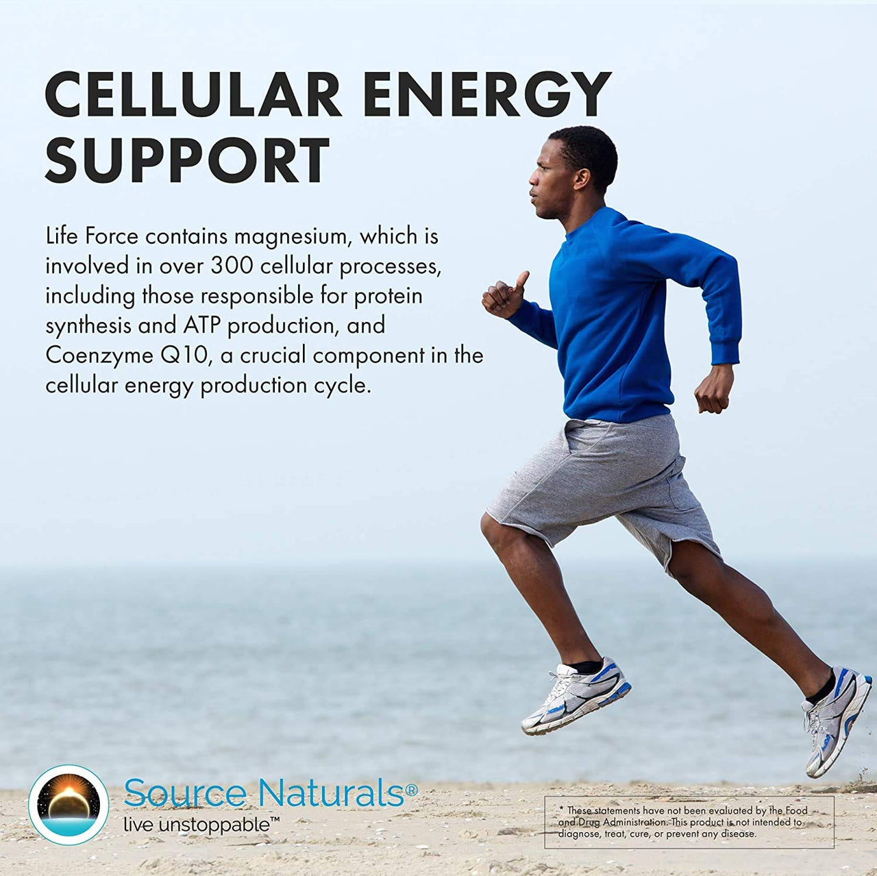 Source Naturals Men's Life Force Multiple Daily Multivitamin & Immune Health Supplement - 13 Essential Vitamins, Nutrients & Minerals - 180 Tablets