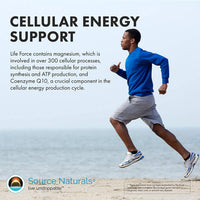 Thumbnail for Source Naturals Men's Life Force Multiple Daily Multivitamin & Immune Health Supplement - 13 Essential Vitamins, Nutrients & Minerals - 180 Tablets