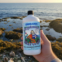 Thumbnail for Neptune's Harvest Fish & Seaweed Liquid Fertilizer (2-3-1) - 18oz Pint - Plant Food for Garden - Indoor & Outdoor Organic Plant Fertilizer for Vegetables, Flowers, Fruit, Trees & Lawns