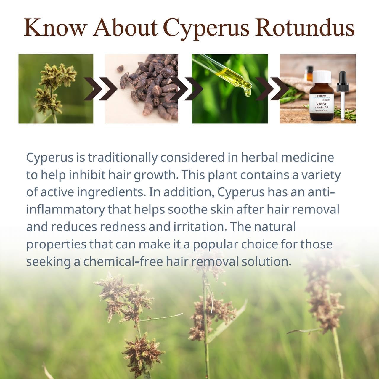 SHUIKU Cyperus Rotundus Oil, Cyperus, 100% Pure Natural Oil for Reducing Body Hair Growth (2 PACKS)