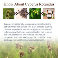 Thumbnail for Cyperus Rotundus Oil for Hair Removal 2 PACKS – 100% Pure Natural Cyprus Oil – Organic Herbal Cypress Root Extract for Smooth Skin, Reducing Body Hair Growth, Ingrown Hair & Nourishment – 60ml