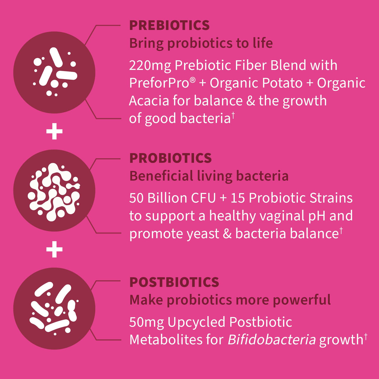 Garden of Life Dr Formulated Once Daily 3-in-1 Complete Prebiotics, Postbiotics & Probiotics for Women, PRE + PRO + POSTBIOTIC Supplement for Women’s Digestive, Immune & Vaginal Health, 30 Day Supply