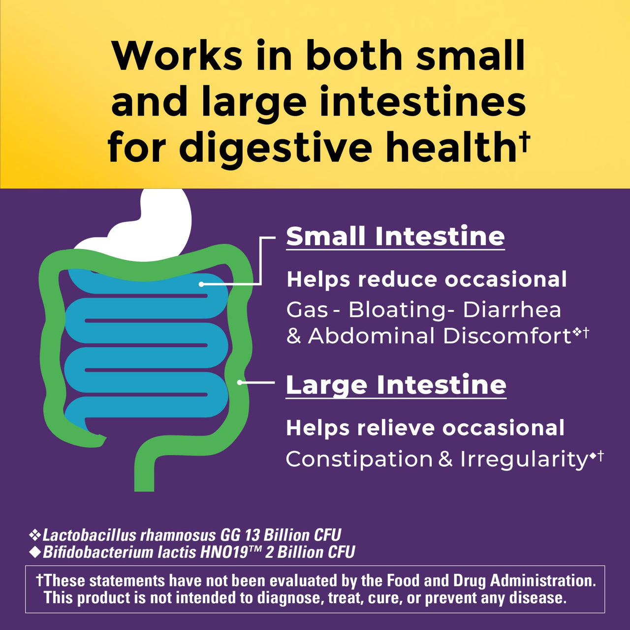 Nature Made Probiotics for Digestive Health Extra Strength 15 Billion CFU from Live Cultures, Probiotics for Women and Men, 30 Probiotic Capsules, 30 Day Supply
