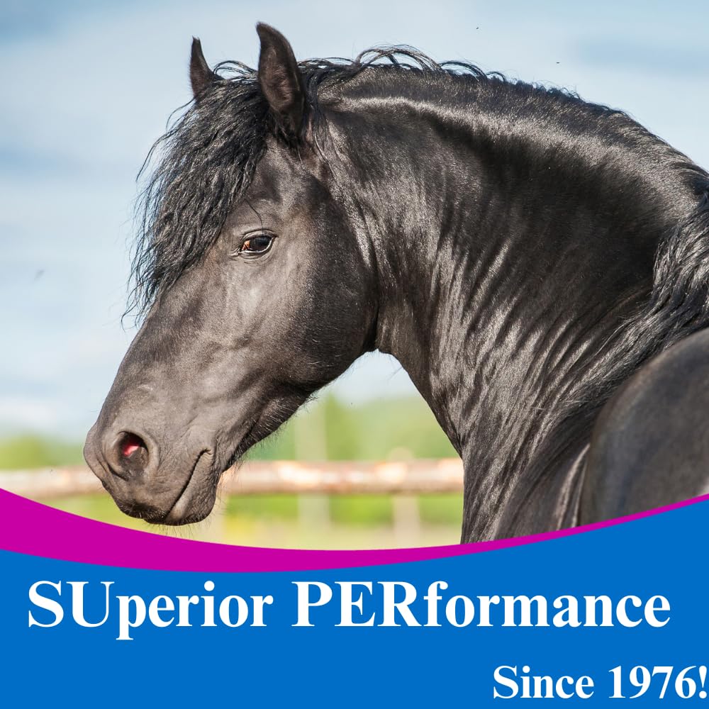 SU-PER DMG 3000 Horse Supplement - Training & Performance Support Liquid - Supports Normal Cardiovascular Immune & Muscle Function - 1 Quart