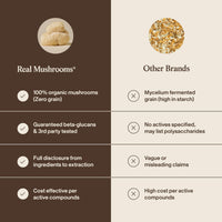 Thumbnail for Real Mushrooms Lions Mane Mushroom Cognition (120 Capsules) Lions Mane Mushroom Powder Extract Capsules | Brain Supplement, Brain Vitamins, Focus Supplement