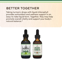 Thumbnail for Chlorophyll Liquid Drops - for Digestion, Gut Health, Energy and Detox - Vegan Safe (Rich, Full Texture and Taste, Not Watered Down), 2oz Peppermint Flavored, by Double Wood