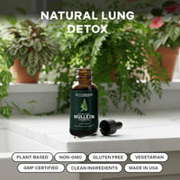 Thumbnail for Betterbrand Mullein Drops for Lung Detox - Mullein Leaf Tincture with Chlorophyll - Helps Support Respiratory Health, Alcohol-Free, 1 Month Supply - 60ml