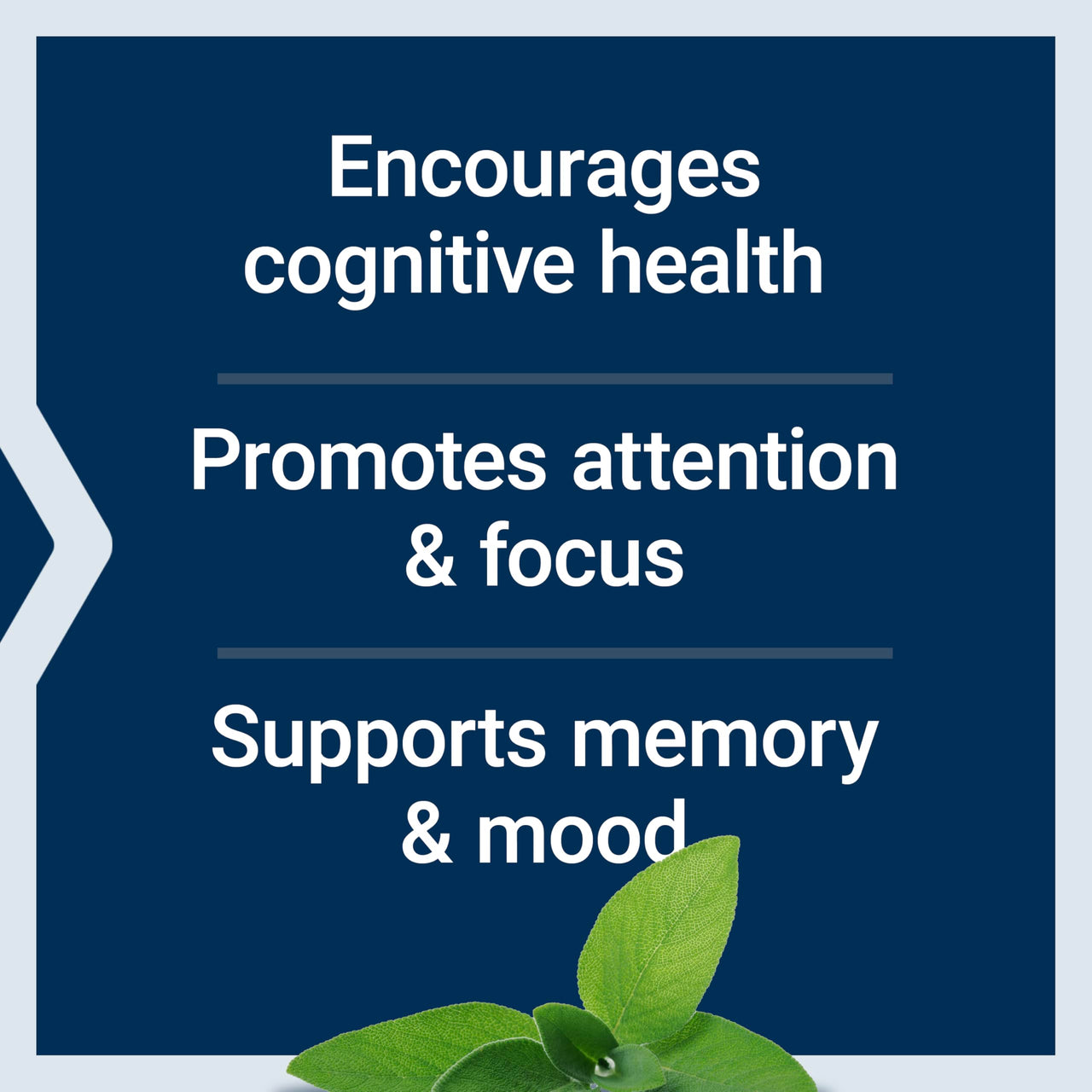 Life Extension Cognitex® Elite, sage, Blueberry, ashwagandha, phosphatidylserine, vinpocetine, Attention, Focus, Mood & Memory, Gluten-Free, Non-GMO, Vegetarian, 60 Tablets