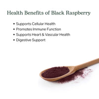 Thumbnail for Eclectic Herb - Black Raspberry Powder Superfood Supplement | Nutritional Support, Vitamins + Minerals | Antioxidant + Immune Support | Natural, Non-GMO, Vegan, Gluten Free (3.2 oz | 90 g)