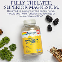 Thumbnail for SOLARAY Magnesium Glycinate Capsules, Chelated Magnesium Bisglycinate w/BioPerine, Higher Absorption Magnesium Supplement - Bones, Muscles, Heart Support, Vegan (30 Servings, 120 VegCaps)