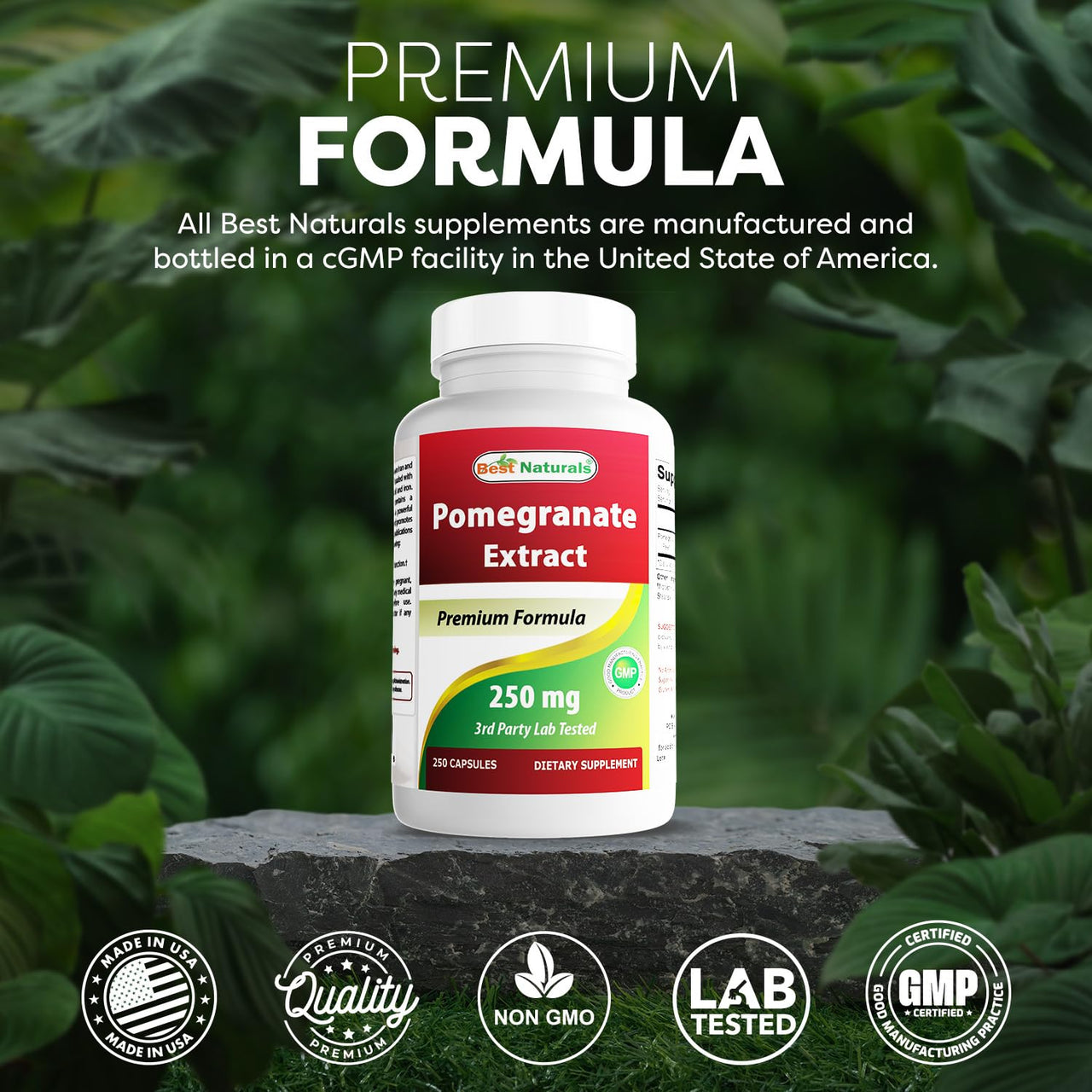 Best Naturals Pomegranate Extract 250 mg 250 Capsules