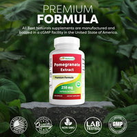 Thumbnail for Best Naturals Pomegranate Extract 250 mg 250 Capsules