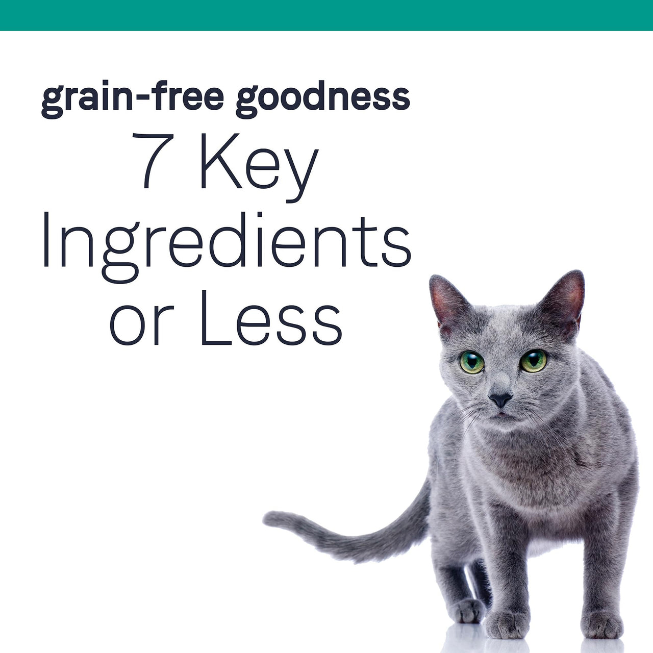 Canidae Pure Limited Ingredient Premium Dry Cat Food, Real Salmon Recipe, 5 lbs, Grain Free
