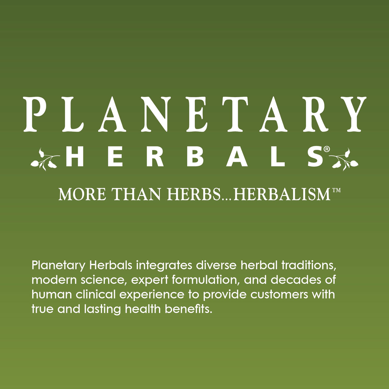 Planetary Herbals Triphala Internal Cleanser Powder, 6 Ounce